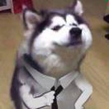 豆友UNcq7Q8Paw