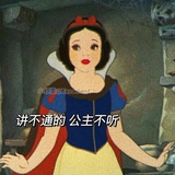 刘诗诗