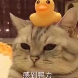 安东