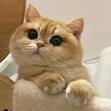 随清娱