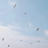 永远相信