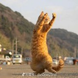 品如（已黑化）