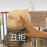 路由器没信号