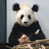肥宅快乐女
