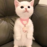 豆友2809306597