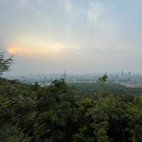 小太阳🌞