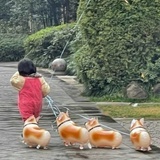 空梦