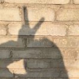 三月爱吃螺蛳粉