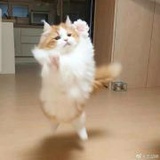 豆友1742342512