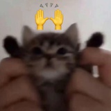 冉阿让