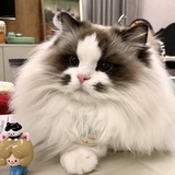 忆旧年