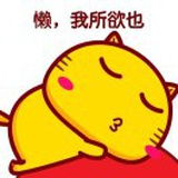 段玖安