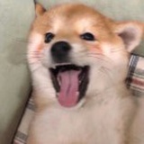 nekoulalalney