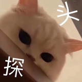 响亮的名号