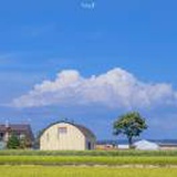 豆友F-SMHlQF5w
