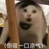 倒吸一口凉气