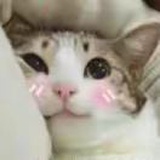 豆友s6cIlRtJp8