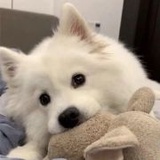 豆友7416958320