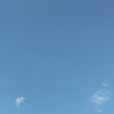 闻温