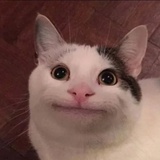 重生之转角遇到你