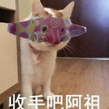 豆友小苹果