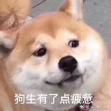 不科学的团战