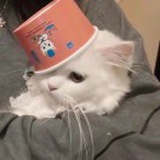 momoni