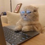 乐子猹