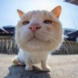 女子