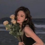 鑫鑫