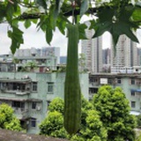 远离偏障