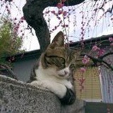 风雪夜归人