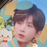 西风迟暮