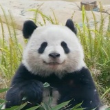 冰美式加糖难喝