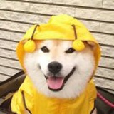 豆友66Z3eYniqI