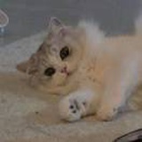 泥巴工和数学狗
