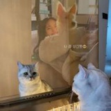 Nan_11