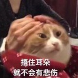 O薛定谔的苹果