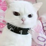 咚七七