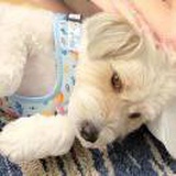 豆友gIRQSqvjvg