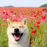 豆友7397866224