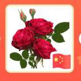 豆友7wyo7qp7Z0