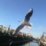 豆友HePefylBoQ