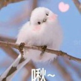 我产超甜