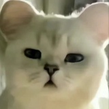熬夜成性