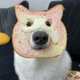 豆友03ZeL9VlU0