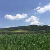 豆友5_VVv63kHM