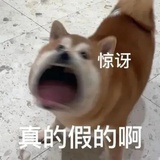 是新豆友嘿嘿