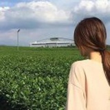 就是逛逛咯
