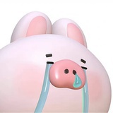 不想为难自己了